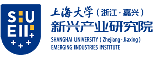 Shanghai University